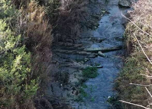 Acqua che odo